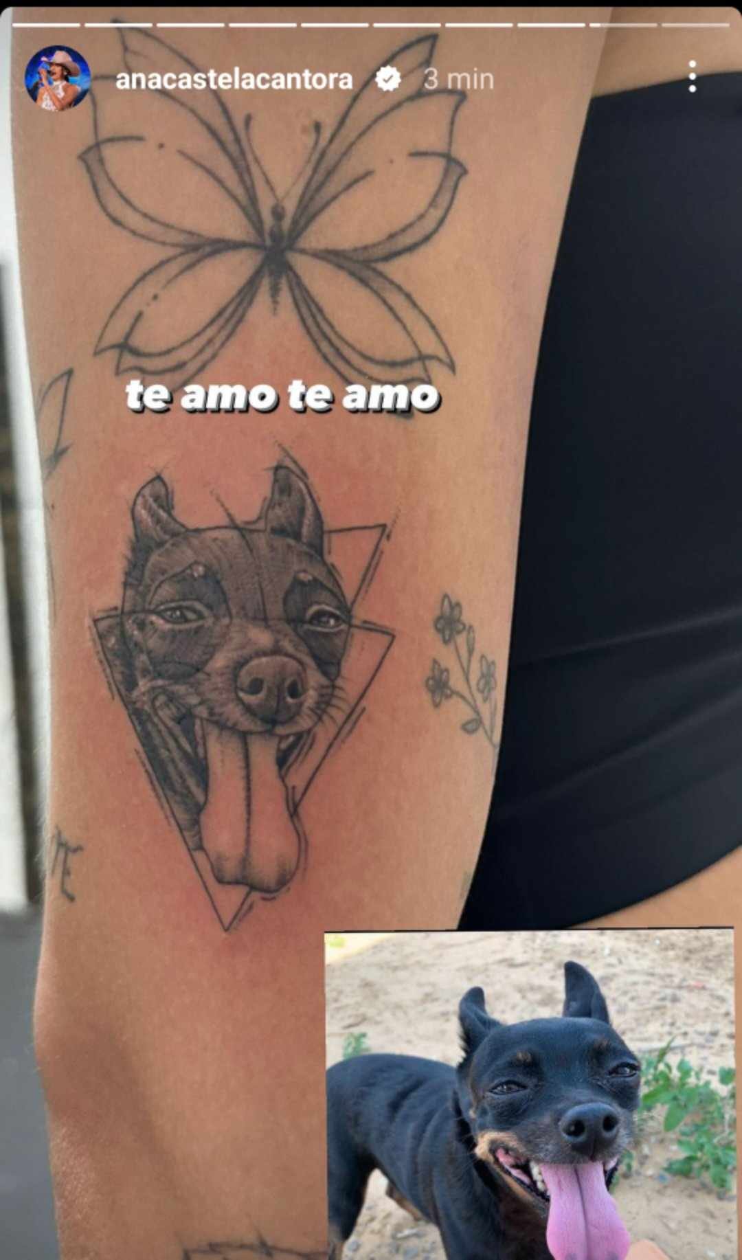 Ana Castela Tatuagem