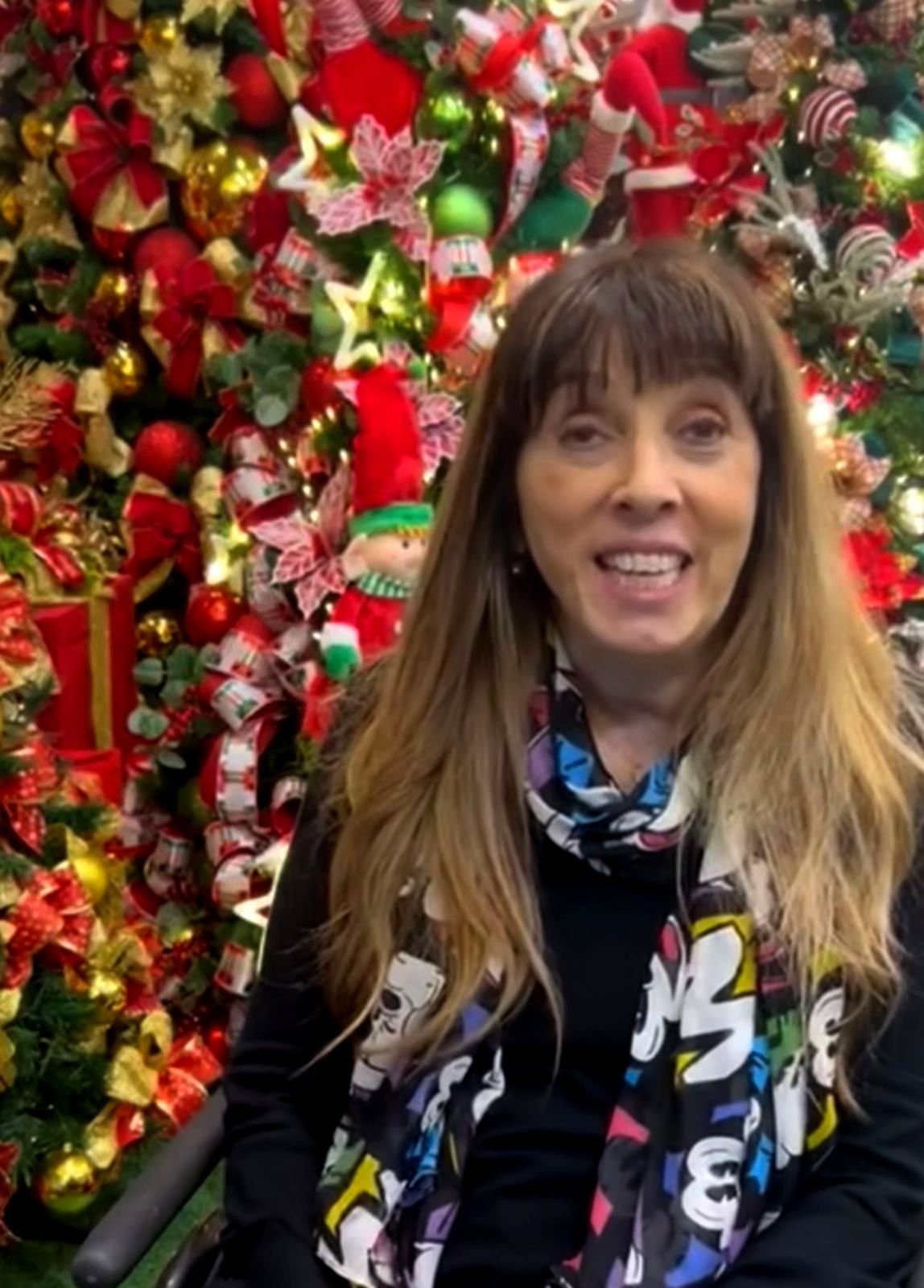 Mais Um Ano A Empresária Lays Reze Proporciona A Magia Do Natal Com As Lojas Empório Do Papai Noel 2 Lays Reze - Ceo Do Empório Do Papai Noel - Foto: Divulgação