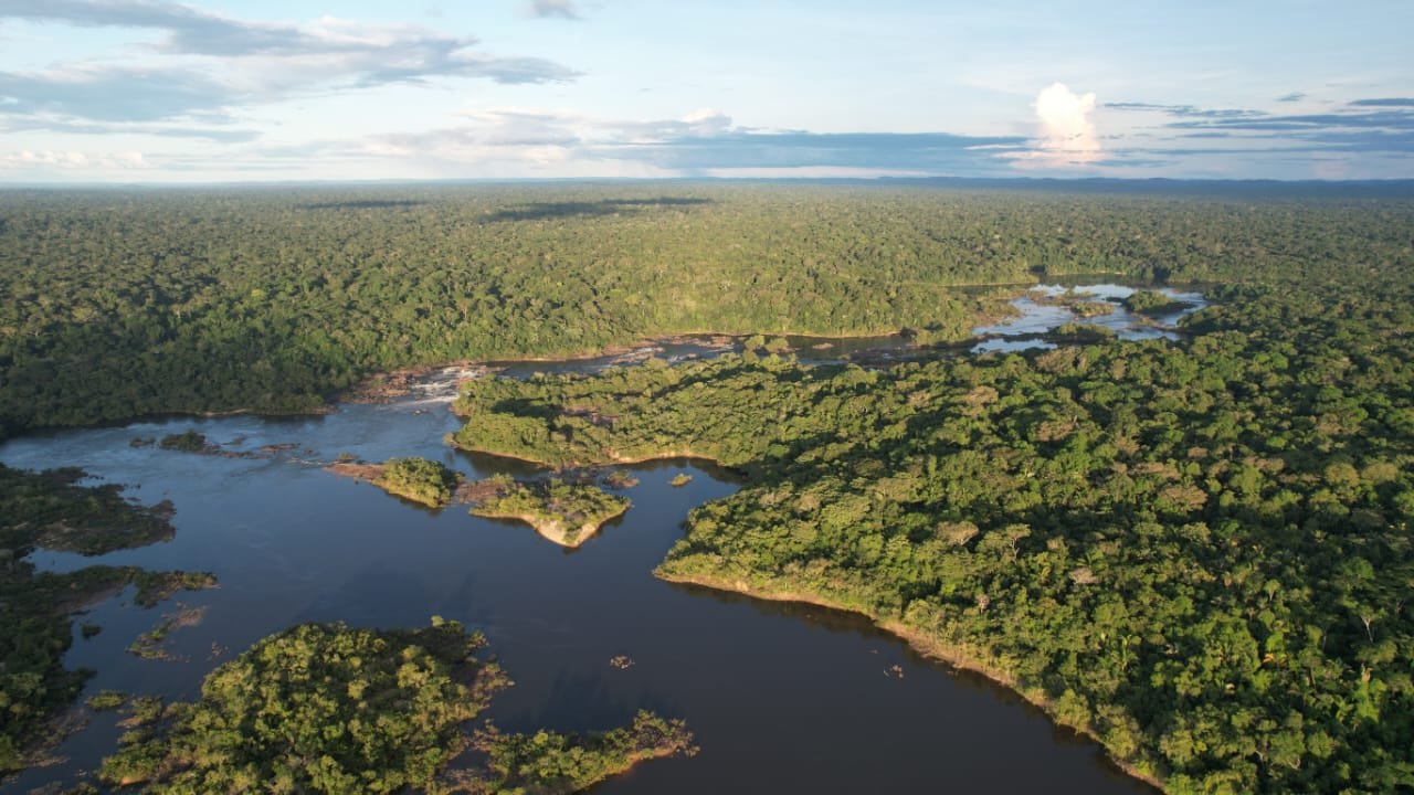 Prestação de Serviço de Conservação Ambiental no Brasil - Crédito da Foto: Divulgação