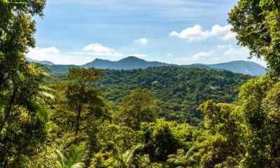 Carbono Retido de Biodiversidade - Serviços Ambientais - Crédito da Foto Divulgação